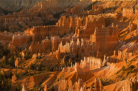 Early Light from Sunrise Point, Bryce Canyon National Park, UT
